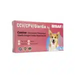 Opakowanie testu COMBO BISAF VET CCV/CPV/Giardia Ag 3w1 z grafiką psa, przeznaczonego do diagnostyki chorób zakaźnych u psów.