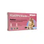 Opakowanie testu COMBO BISAF VET FCoV/FPV/Giardia Ag 3w1 z grafiką kota, przeznaczonego do diagnostyki chorób zakaźnych u kotów.
