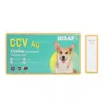 Szybki test BISAF CCV Ag do wykrywania koronawirusa psów (Canine Coronavirus). Turkusowe opakowanie z wizerunkiem psa oraz kaseta testowa z oznaczeniami C, T i S.